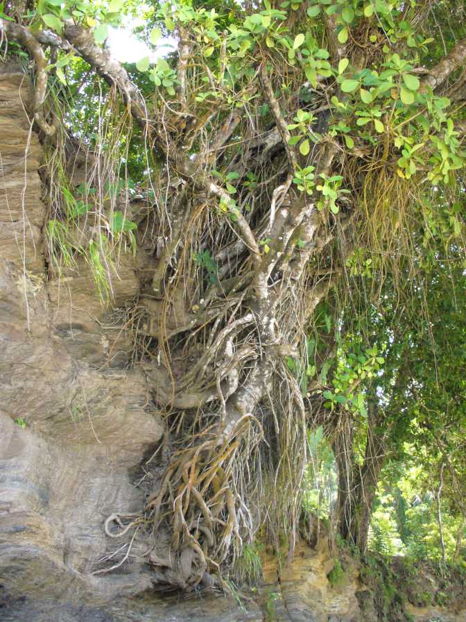 P1010210b